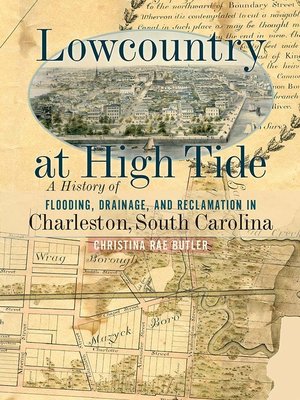 cover image of Lowcountry at High Tide